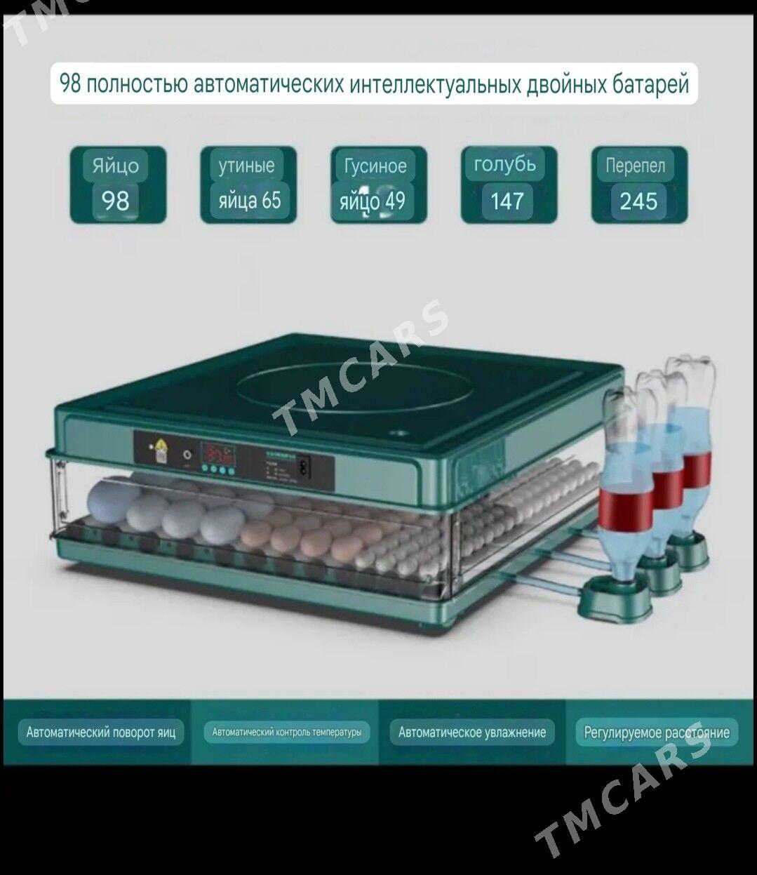 Инкубатор inkubator - Aşgabat - img 2