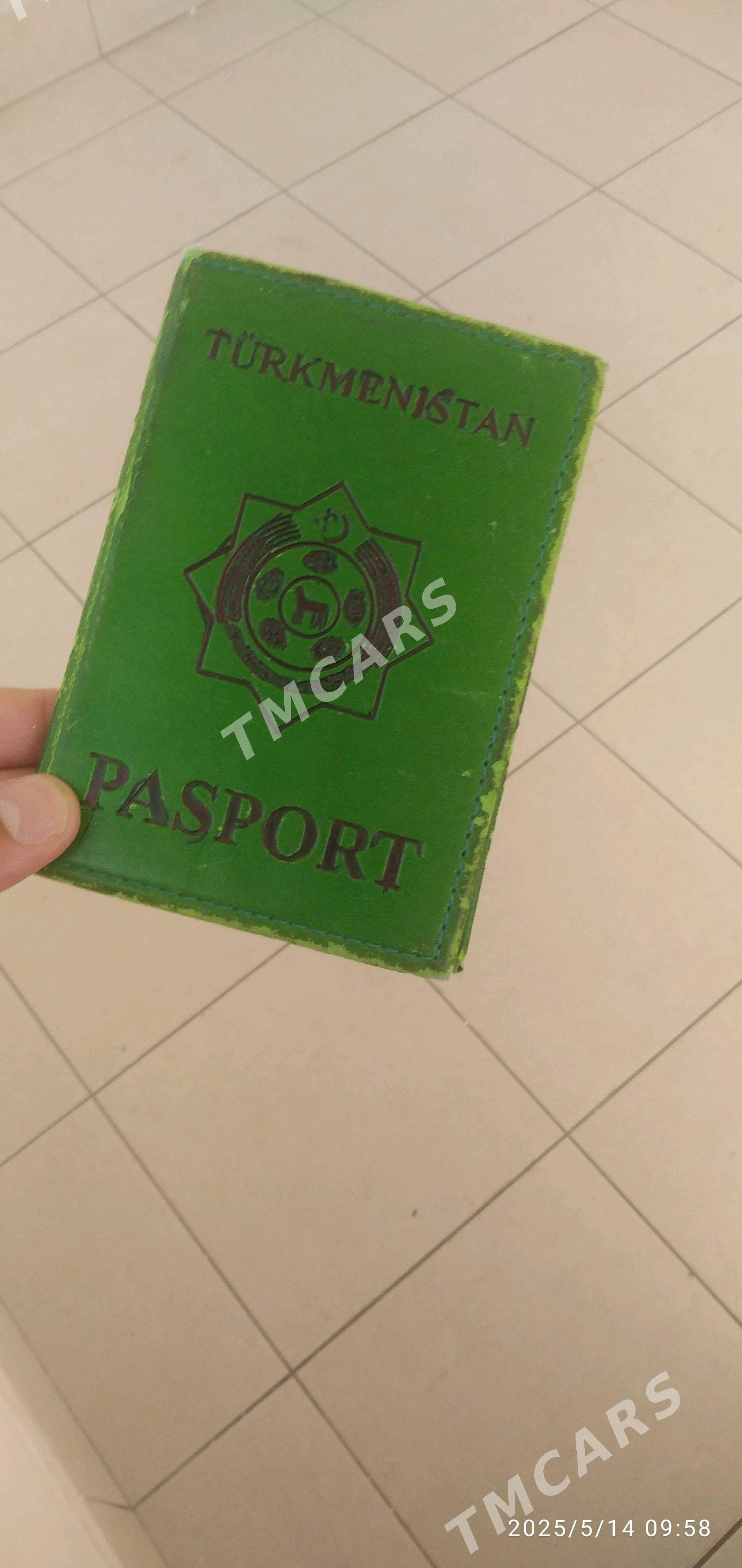 Galan pasport - Арчабиль шаёлы - img 3