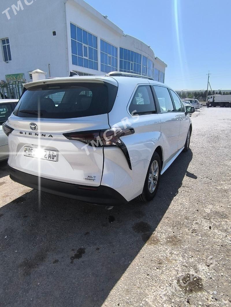 Toyota Sienna 2023 - 600 000 TMT - Büzmeýin - img 3