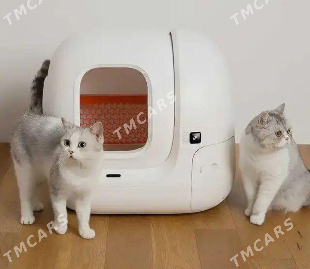 PETKIT дом для кошек - Aşgabat - img 2