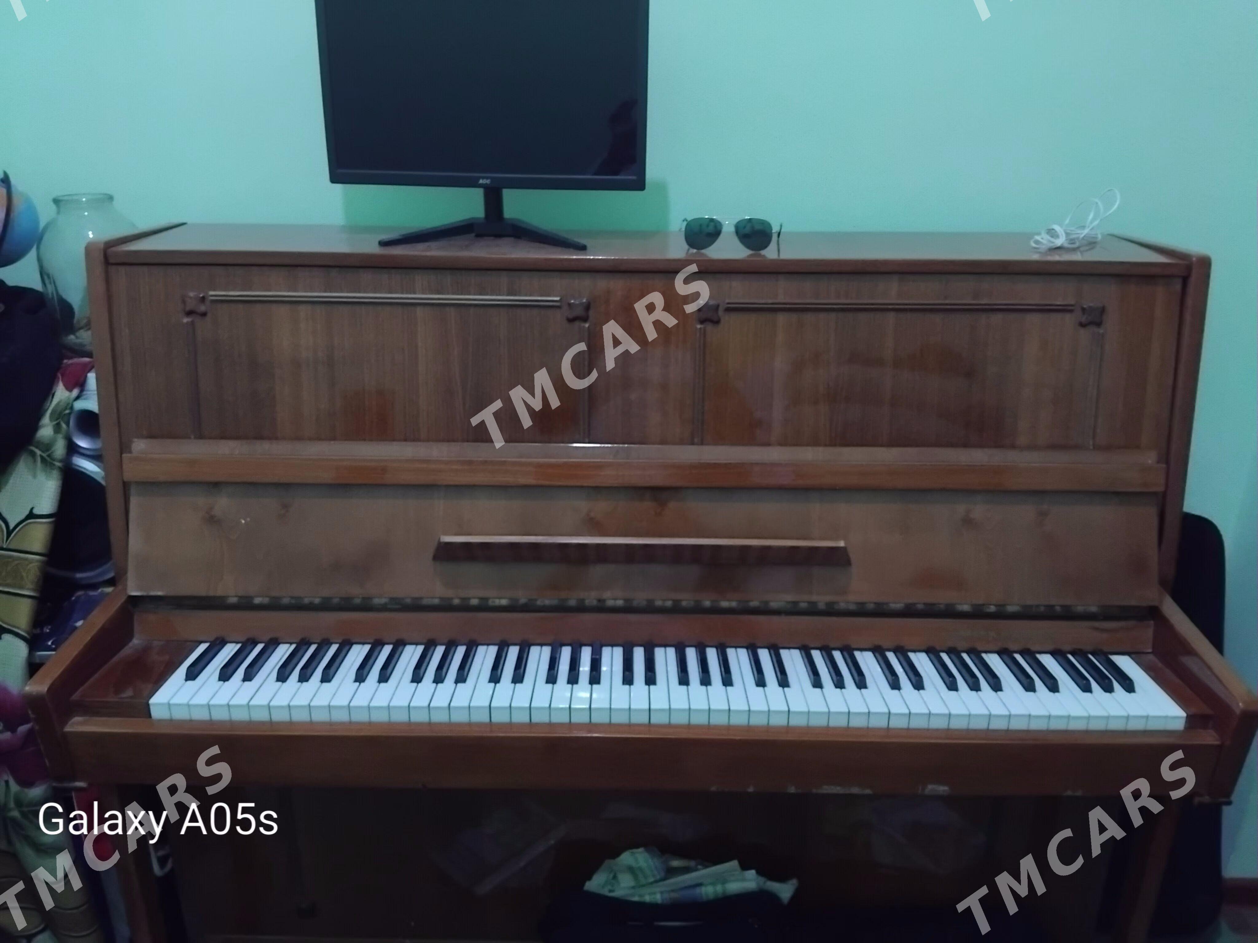 pianina - Bagyr - img 1