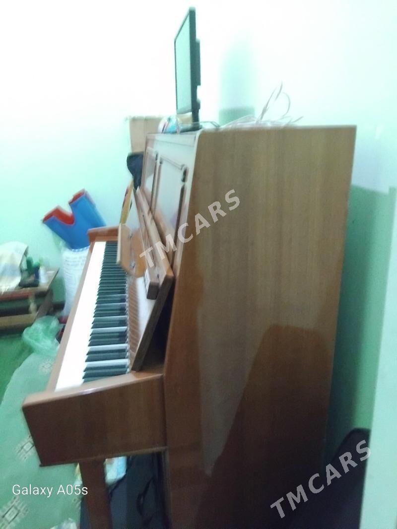 pianina - Bagyr - img 2