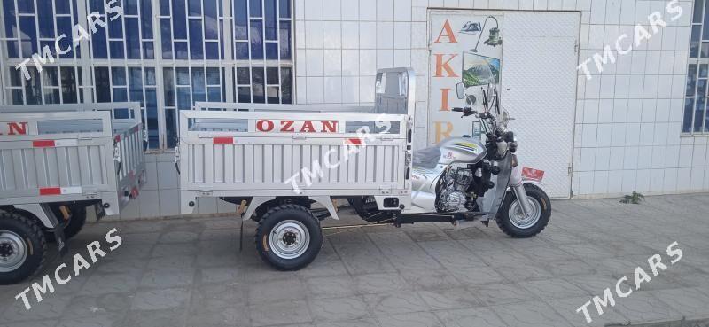 Ozan 200CC 2024 - 31 000 TMT - Tejen - img 2