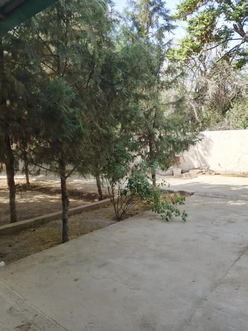 Amatly 1 komnat️ - Aşgabat - img 6