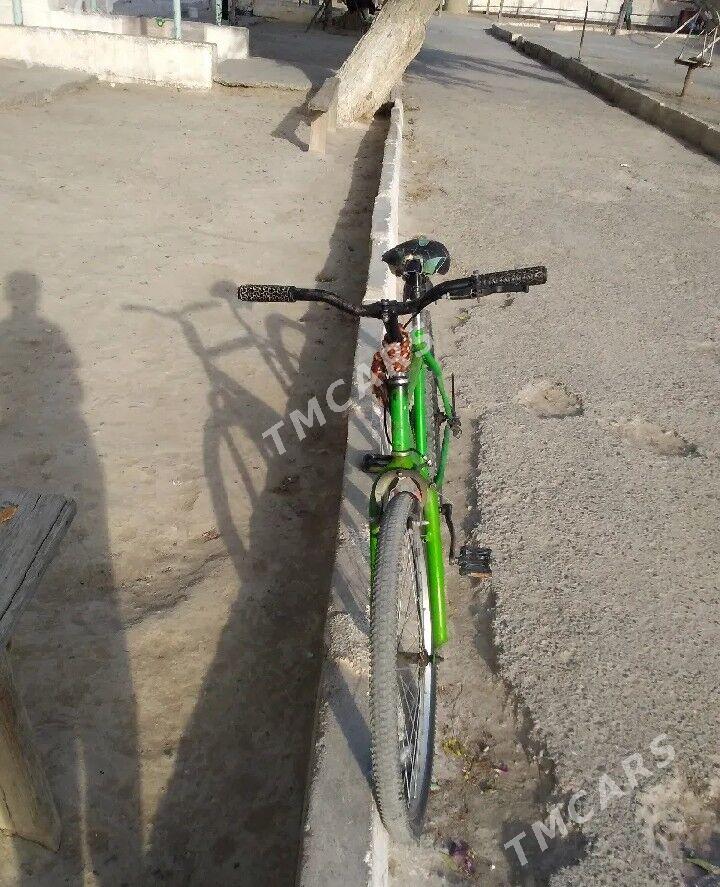 Turkmenistan tigir - Bäherden - img 2