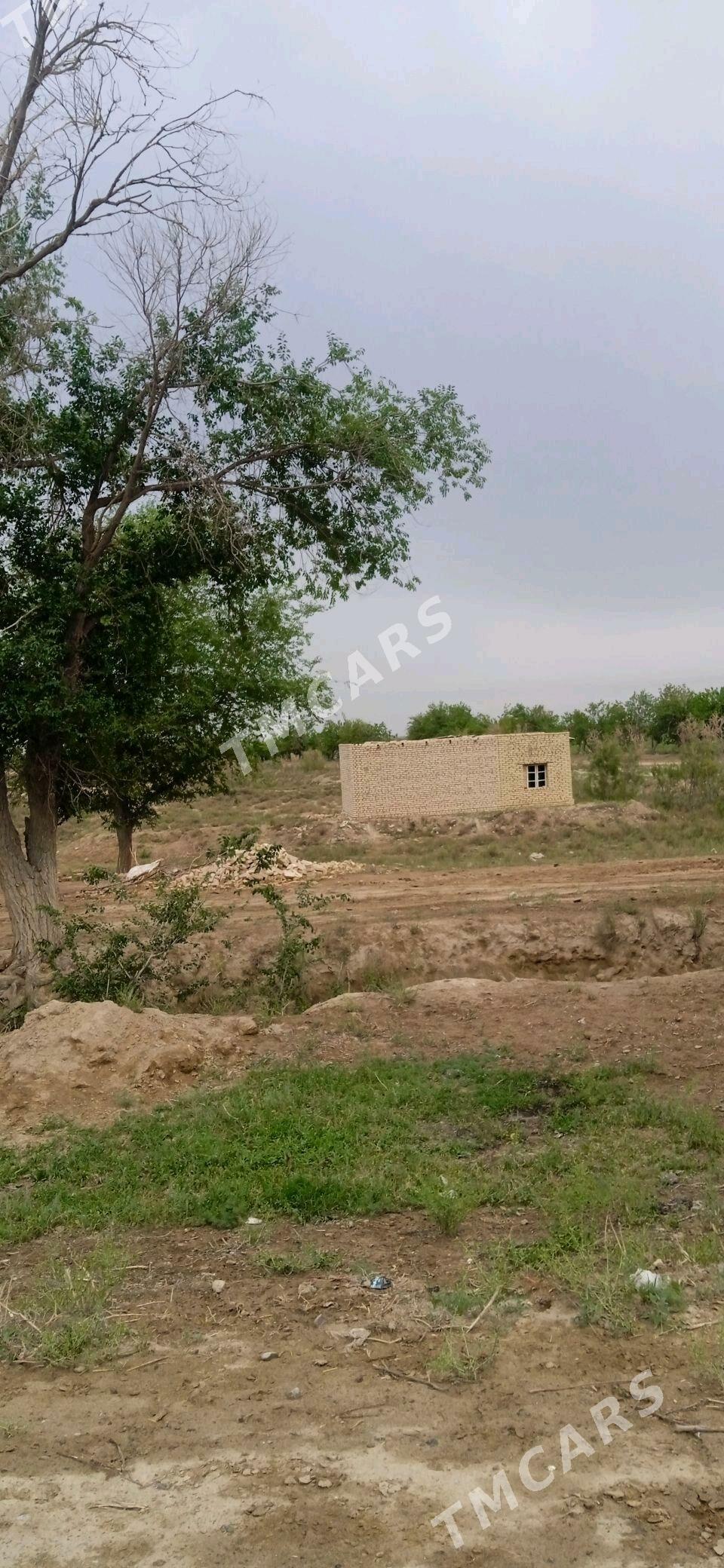 Melek ŷer - Baýramaly - img 2