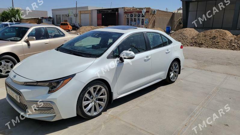 Toyota Corolla 2020 - 260 000 TMT - Mary - img 2