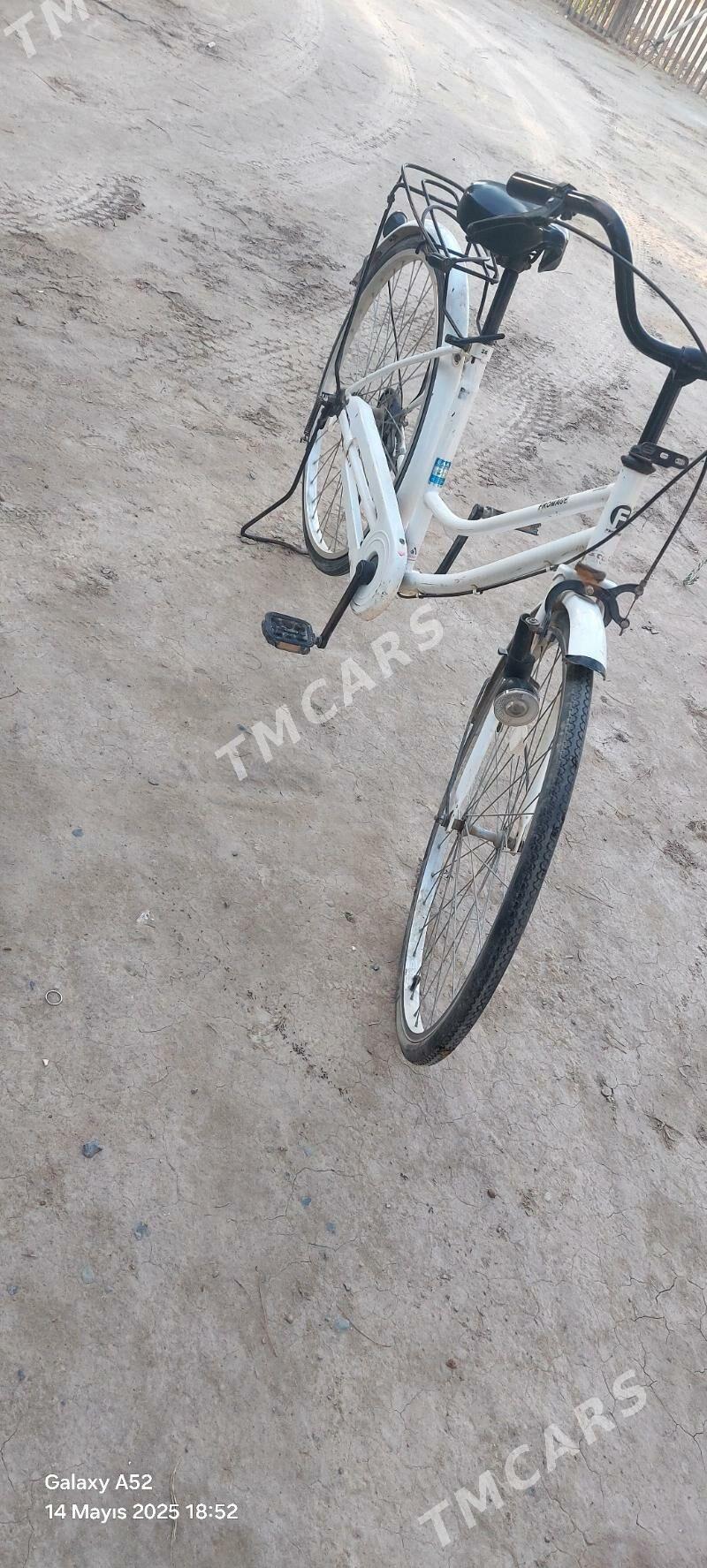 welsaped - Çärjew - img 2