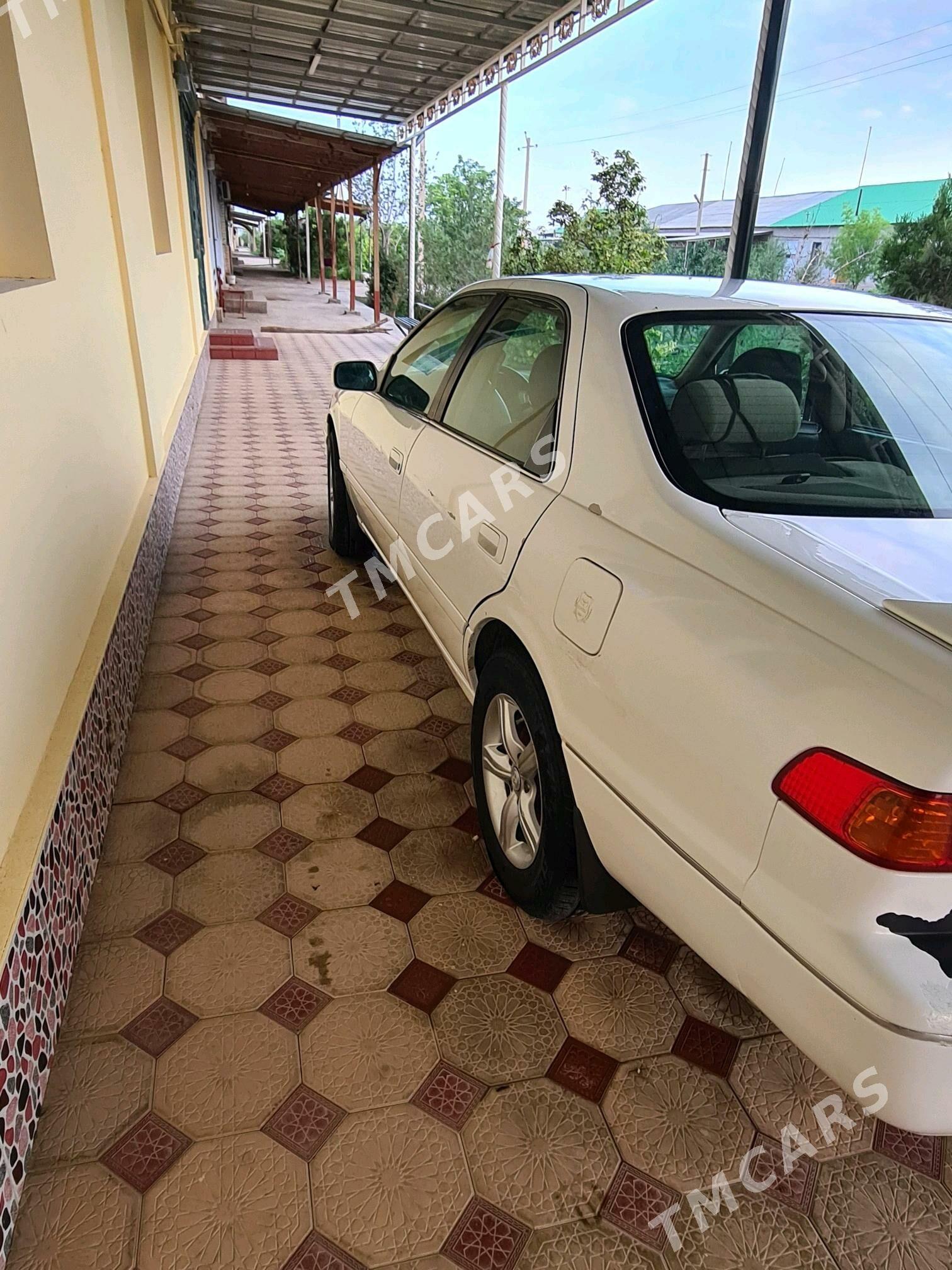 Toyota Camry 2001 - 120 000 TMT - Şabat etr. - img 4