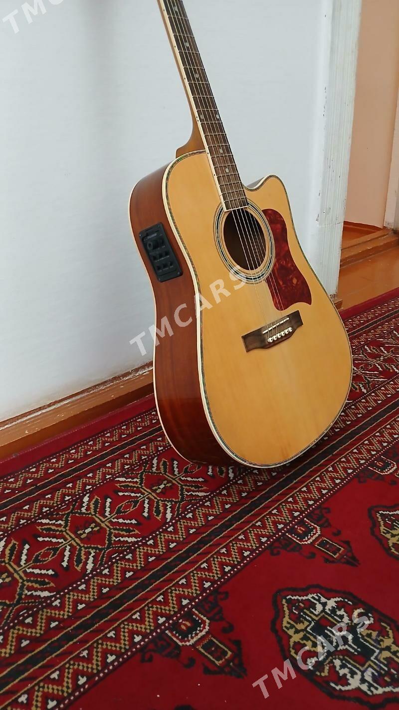 Gitara - Шабатский этрап - img 5