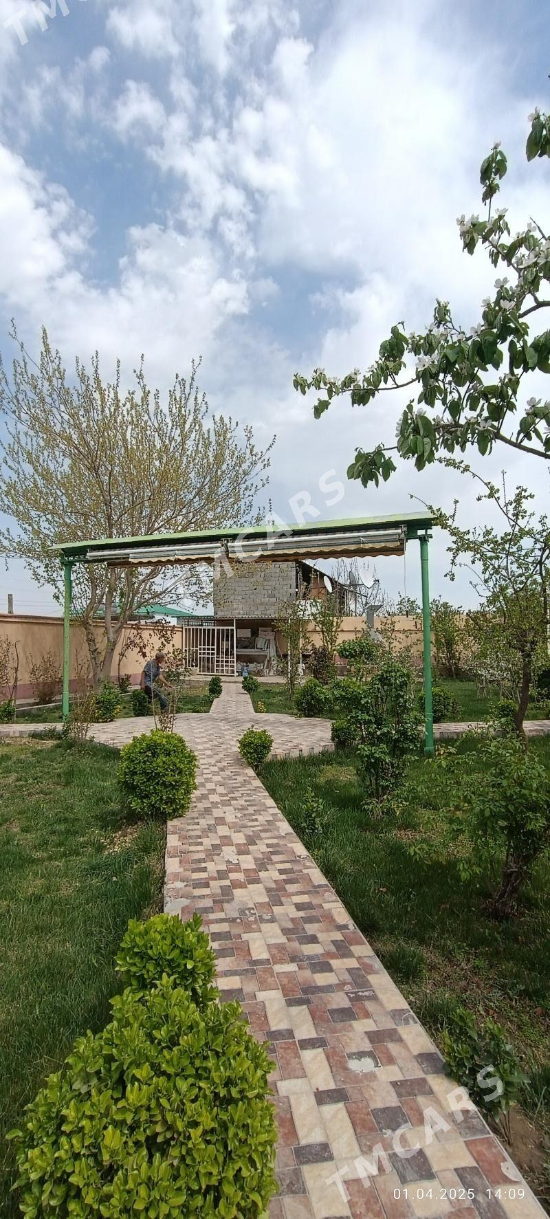  САГЛЫК 10СОТОК  - Aşgabat - img 10