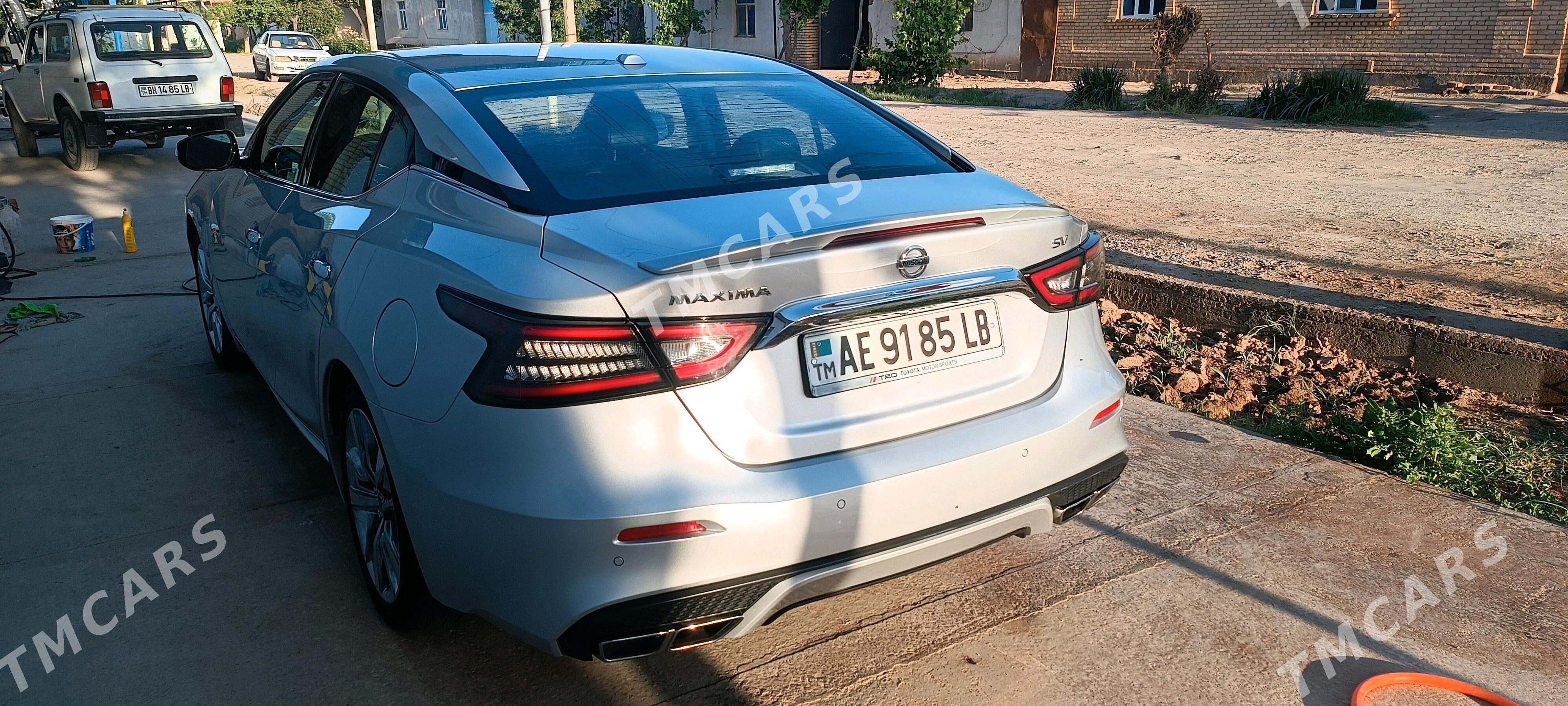 Nissan Maxima 2021 - 260 000 TMT - Dänew - img 4
