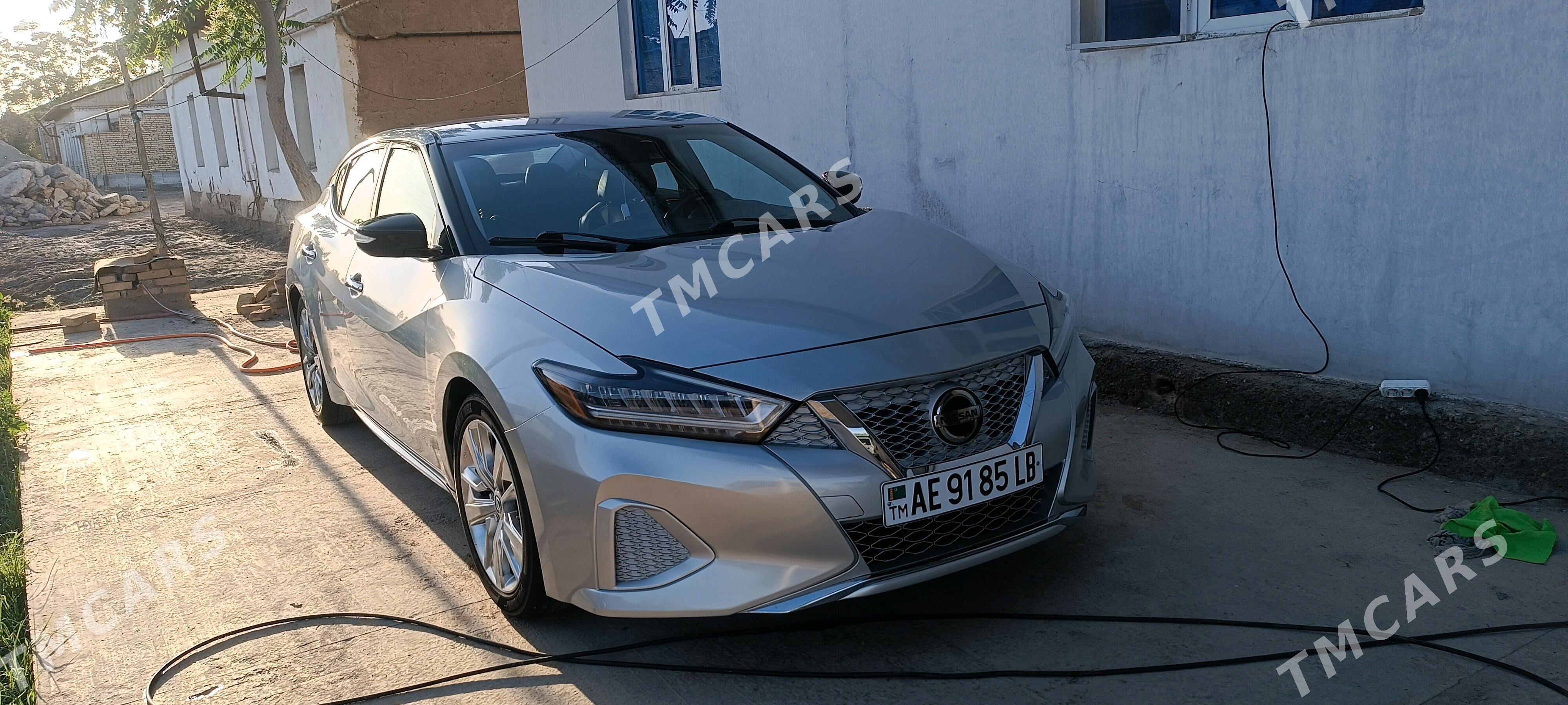 Nissan Maxima 2021 - 260 000 TMT - Dänew - img 7