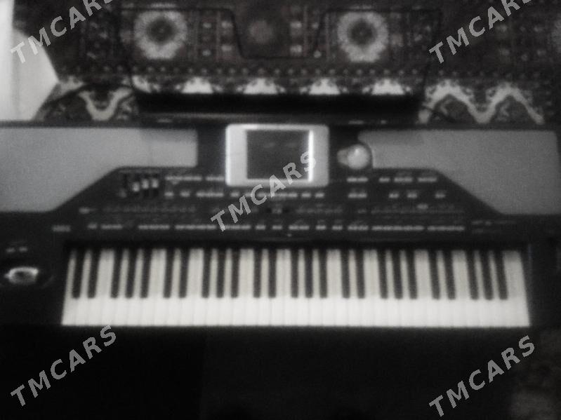 korg pa 800 - Görogly (Tagta) - img 3