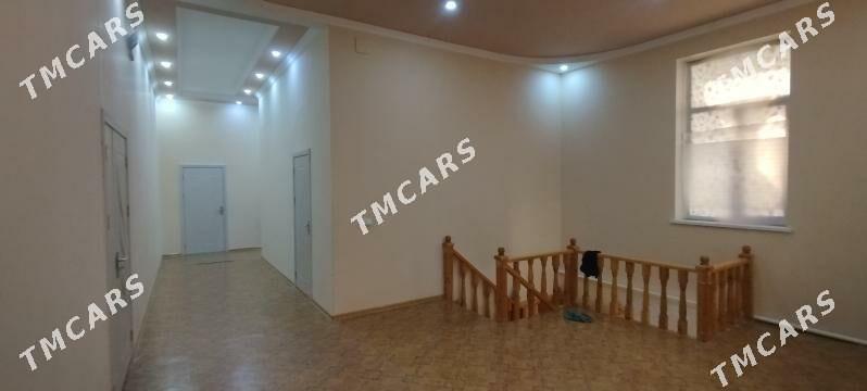 zelili kotej 6 sotuk - Туркменабат - img 9
