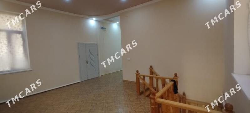 zelili kotej 6 sotuk - Туркменабат - img 4
