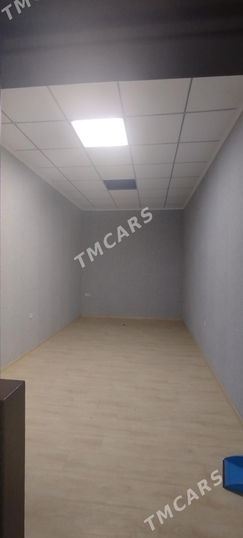 Tiplitsa un yer 9.51 gektar - Туркменабат - img 4