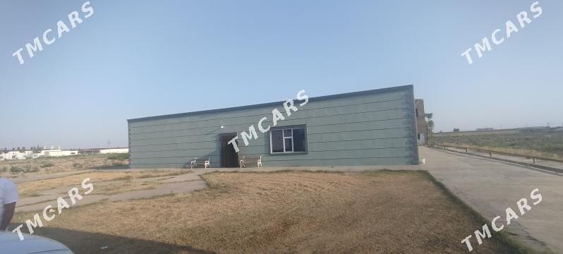 Tiplitsa un yer 9.51 gektar - Туркменабат - img 9