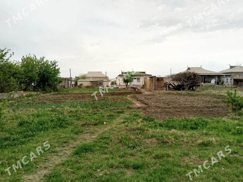 J.ATAJANOW GEŇEŞLIGI - Wekilbazar - img 3