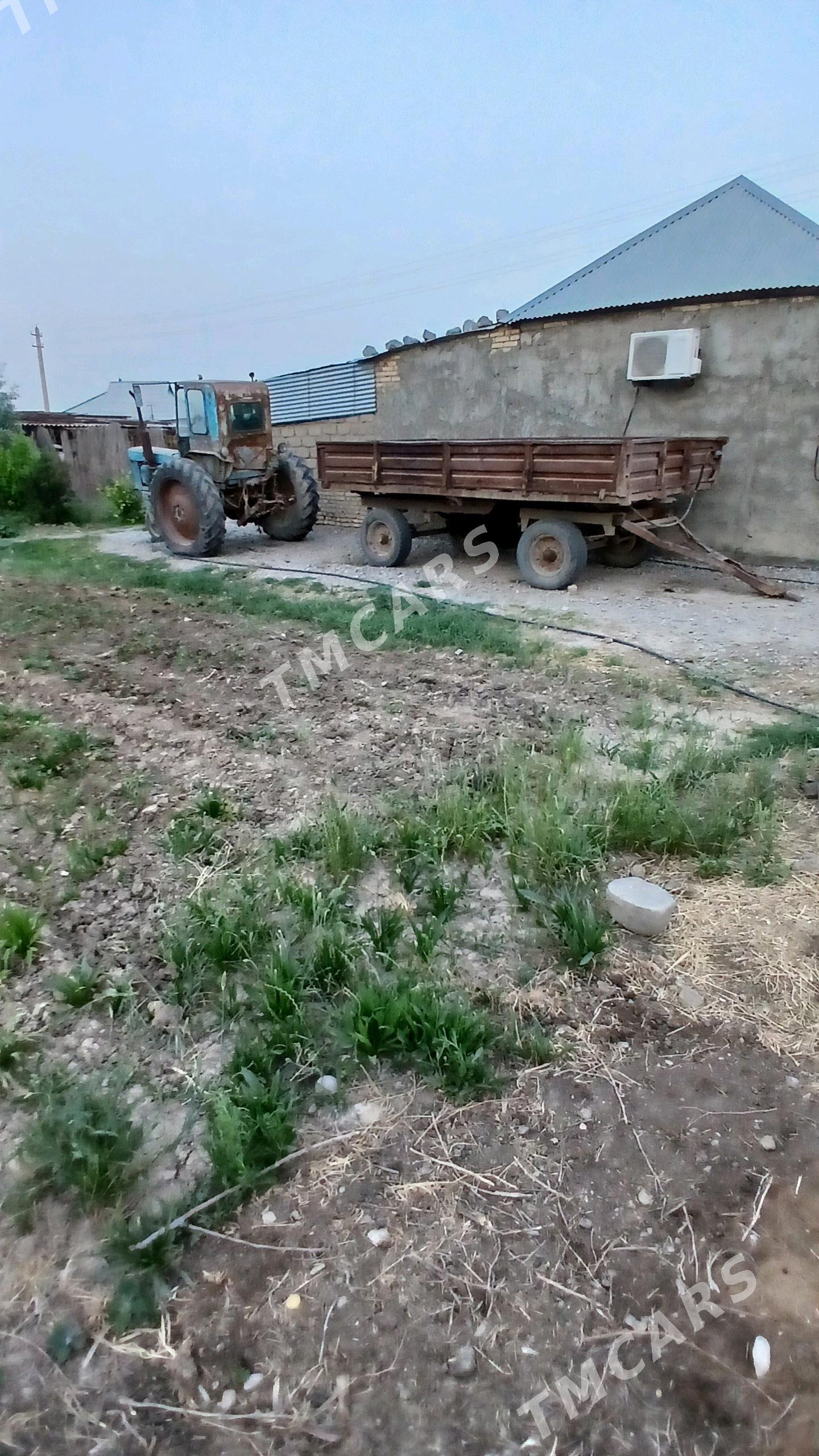 MTZ T-28 2002 - 20 000 TMT - Ýaşlyk - img 2