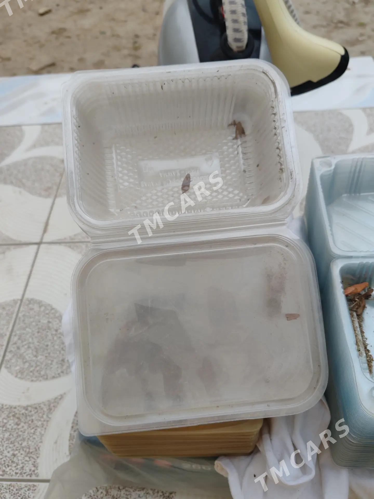 Lancik gaplama - Balkanabat - img 2