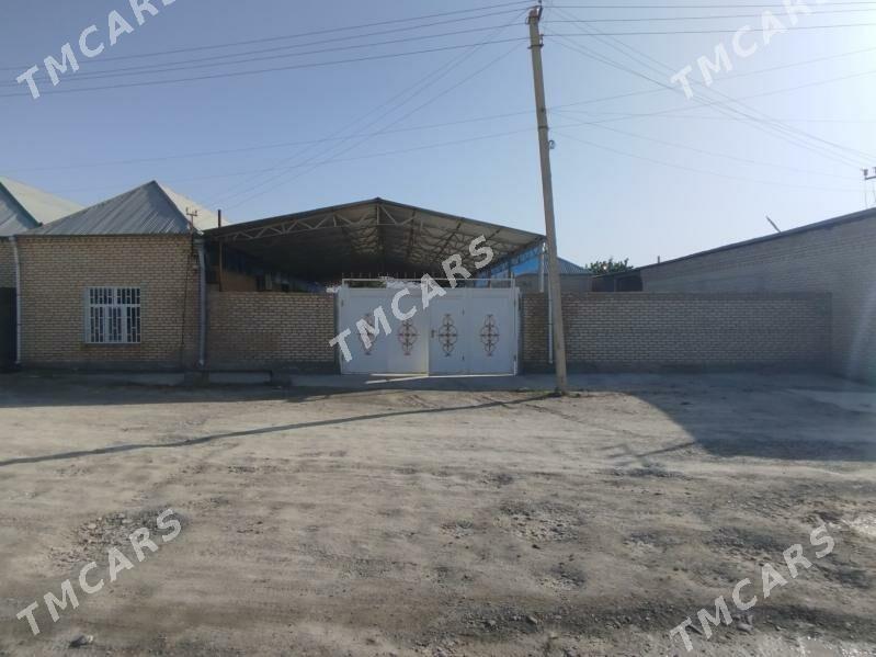 Baherden Akdepe obasy - Бахарден - img 4