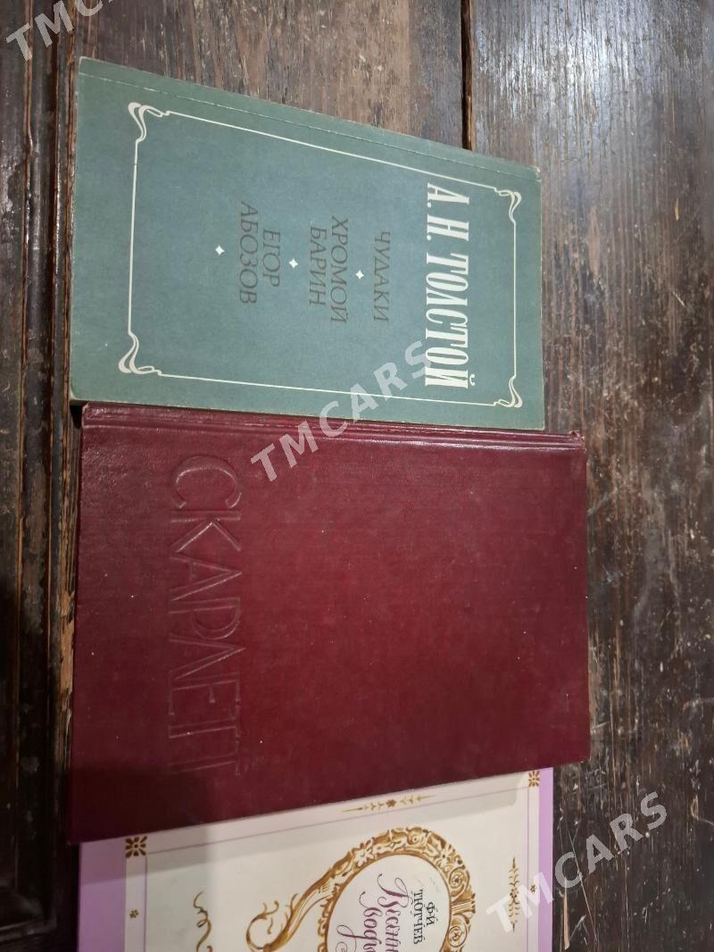 50 sany kitap - Mary - img 3