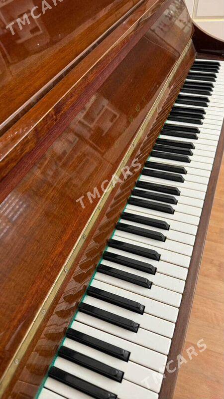 pianino - Мир 2 - img 2