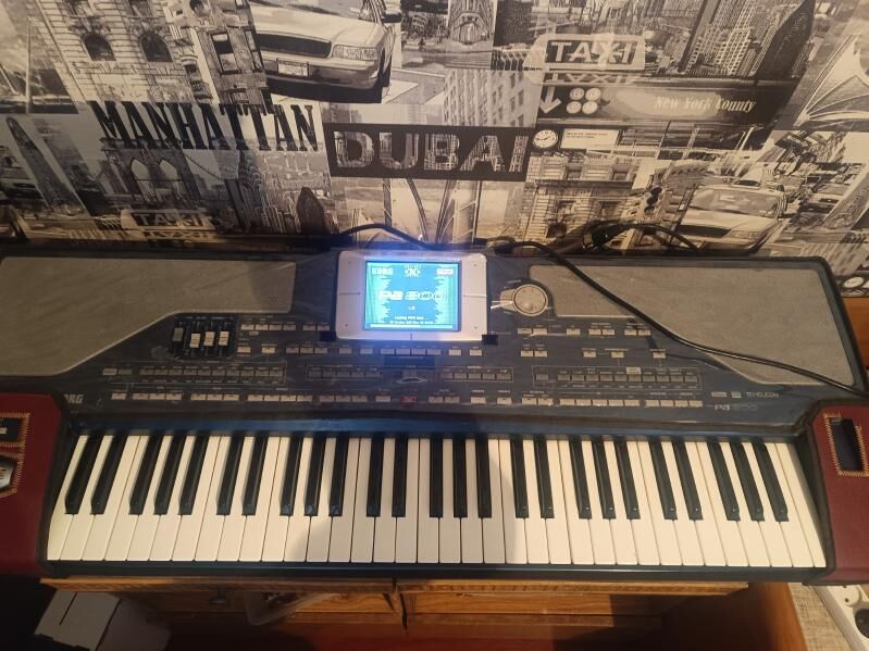 Korg PA 800 - Ашхабад - img 2