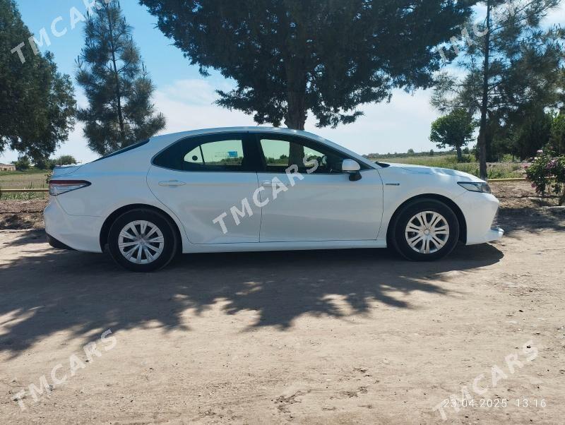 Toyota Camry 2020 - 260 000 TMT - Farap - img 4