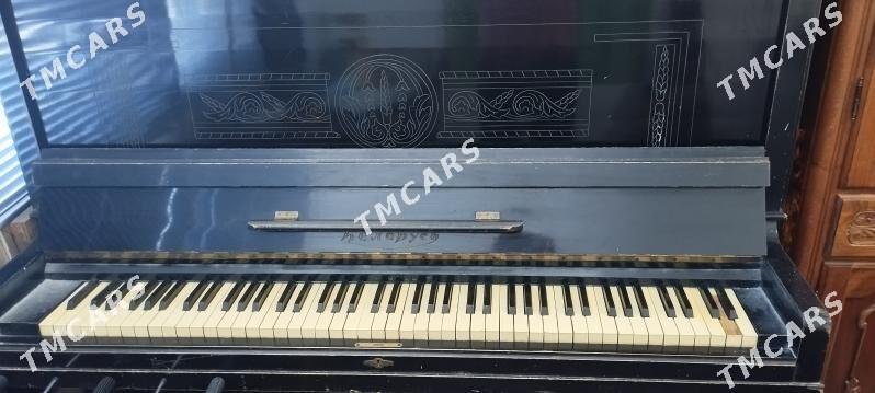 Pianino Belarus - WDNH Söwda Merkezi - img 2