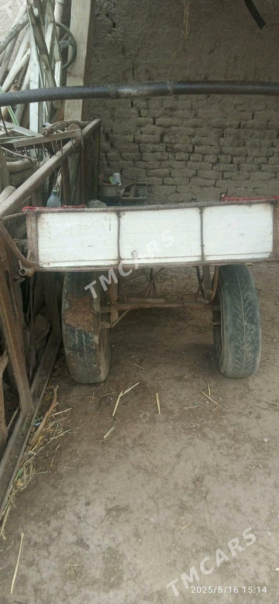Araba yeniljek - Köneürgenç - img 1