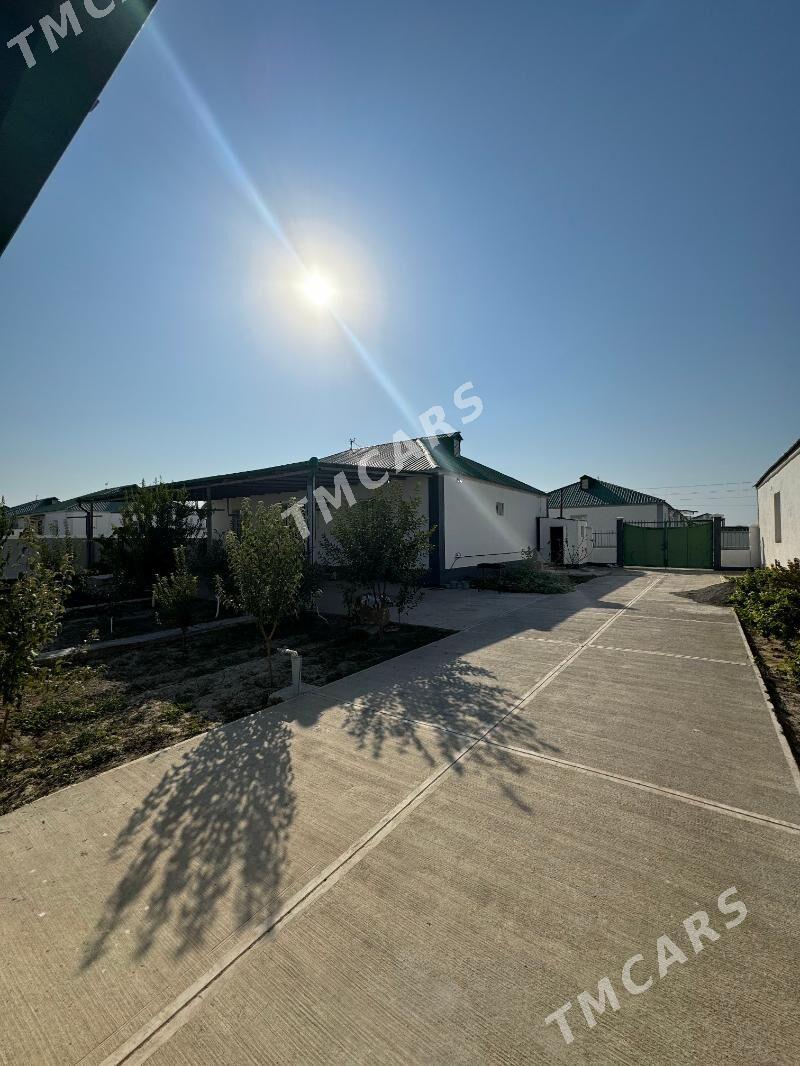 Gokdepe - Gökdepe - img 3