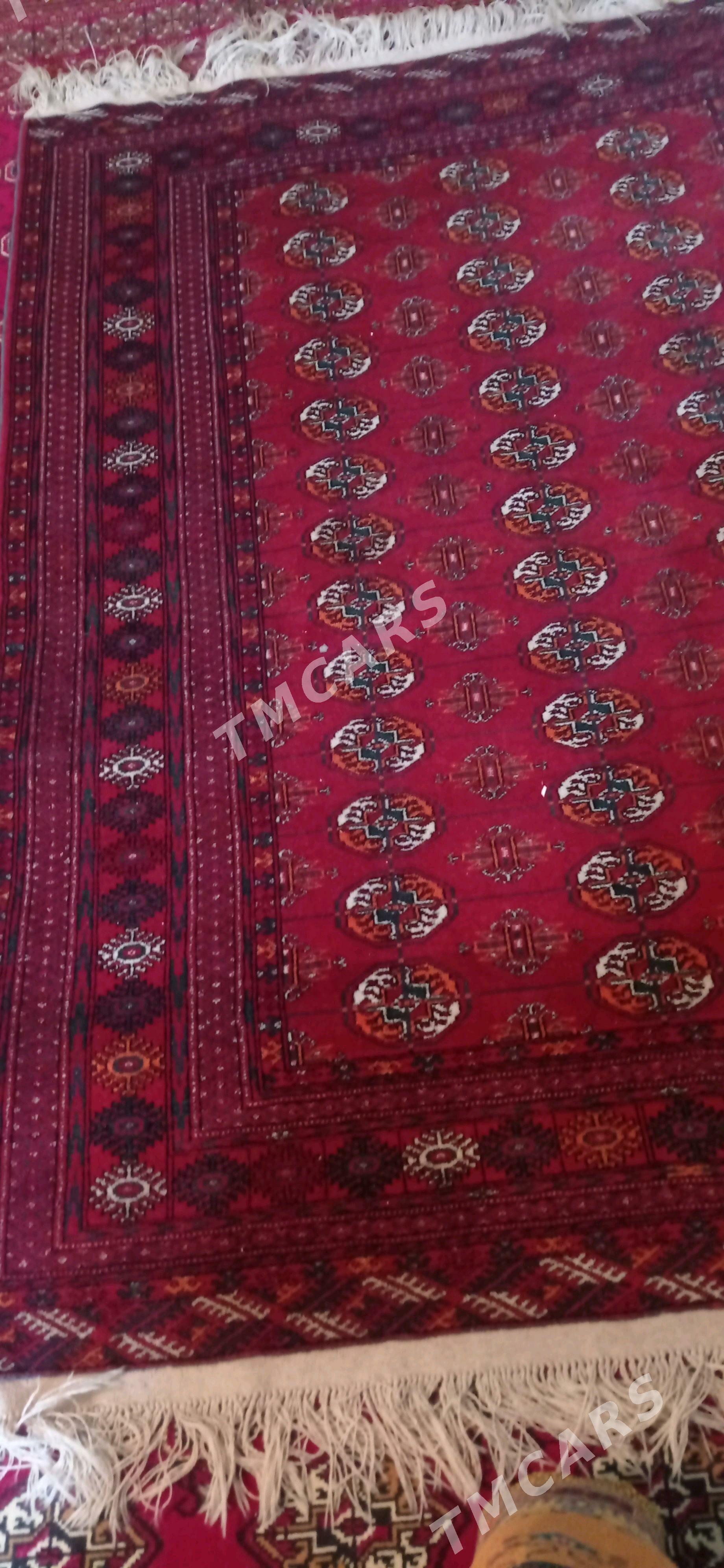 gadymy turkmen el halysy - Tejen - img 2