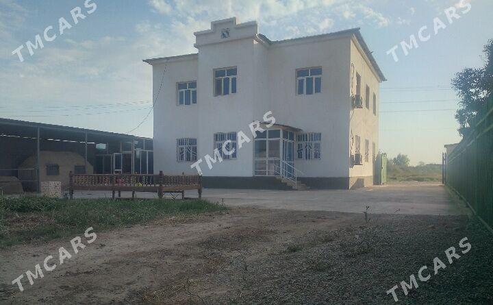 Tejen şaheri - Tejen - img 2