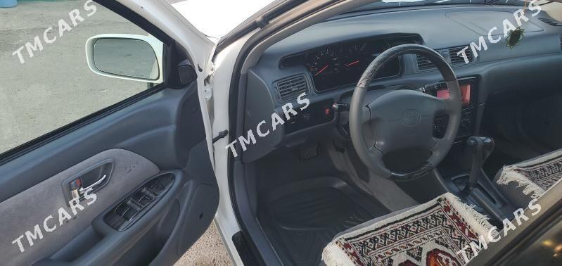 Toyota Camry 2001 - 175 000 TMT - Türkmenabat - img 4