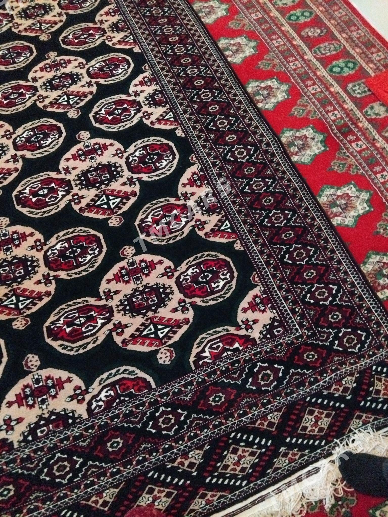 haly - Türkmenbaşy - img 2
