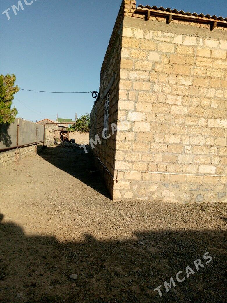 jaý satlyk - Bereket - img 6