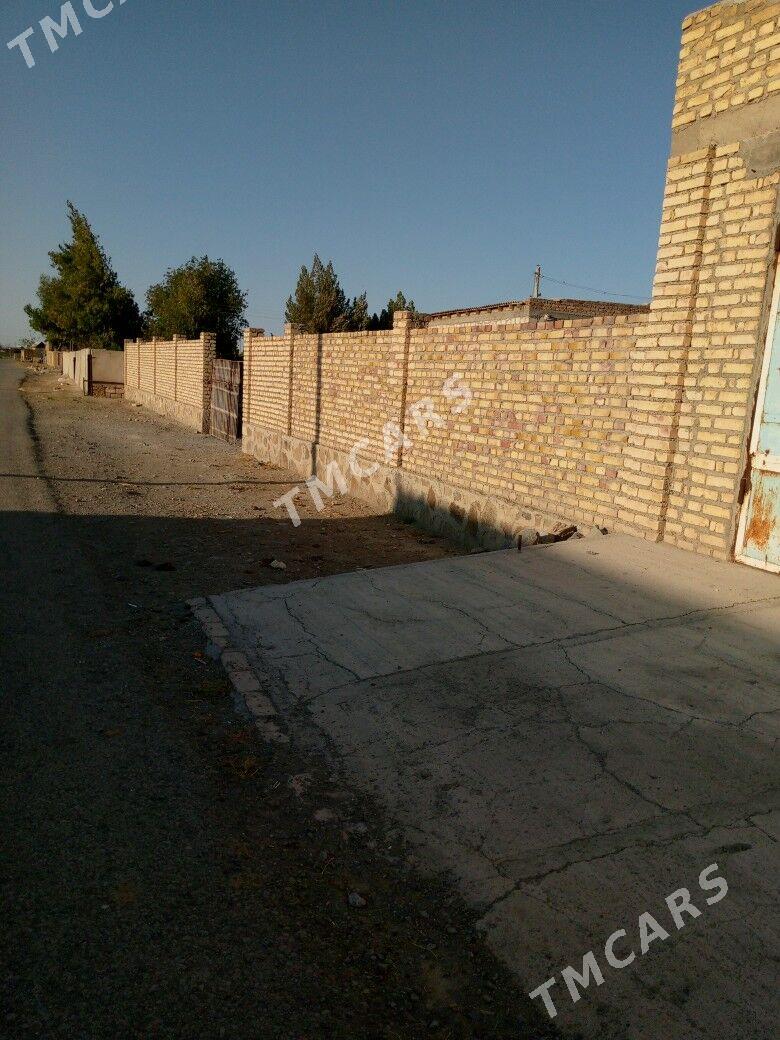 jaý satlyk - Bereket - img 5