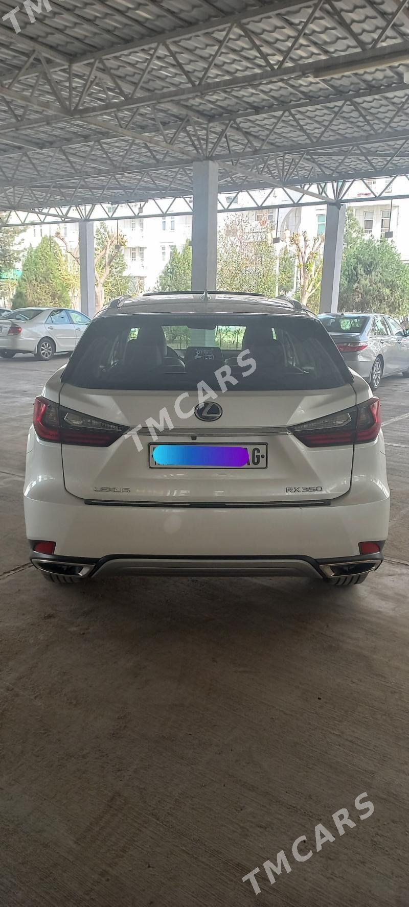 Lexus RX 350 2020 - 637 000 TMT - Ашхабад - img 3