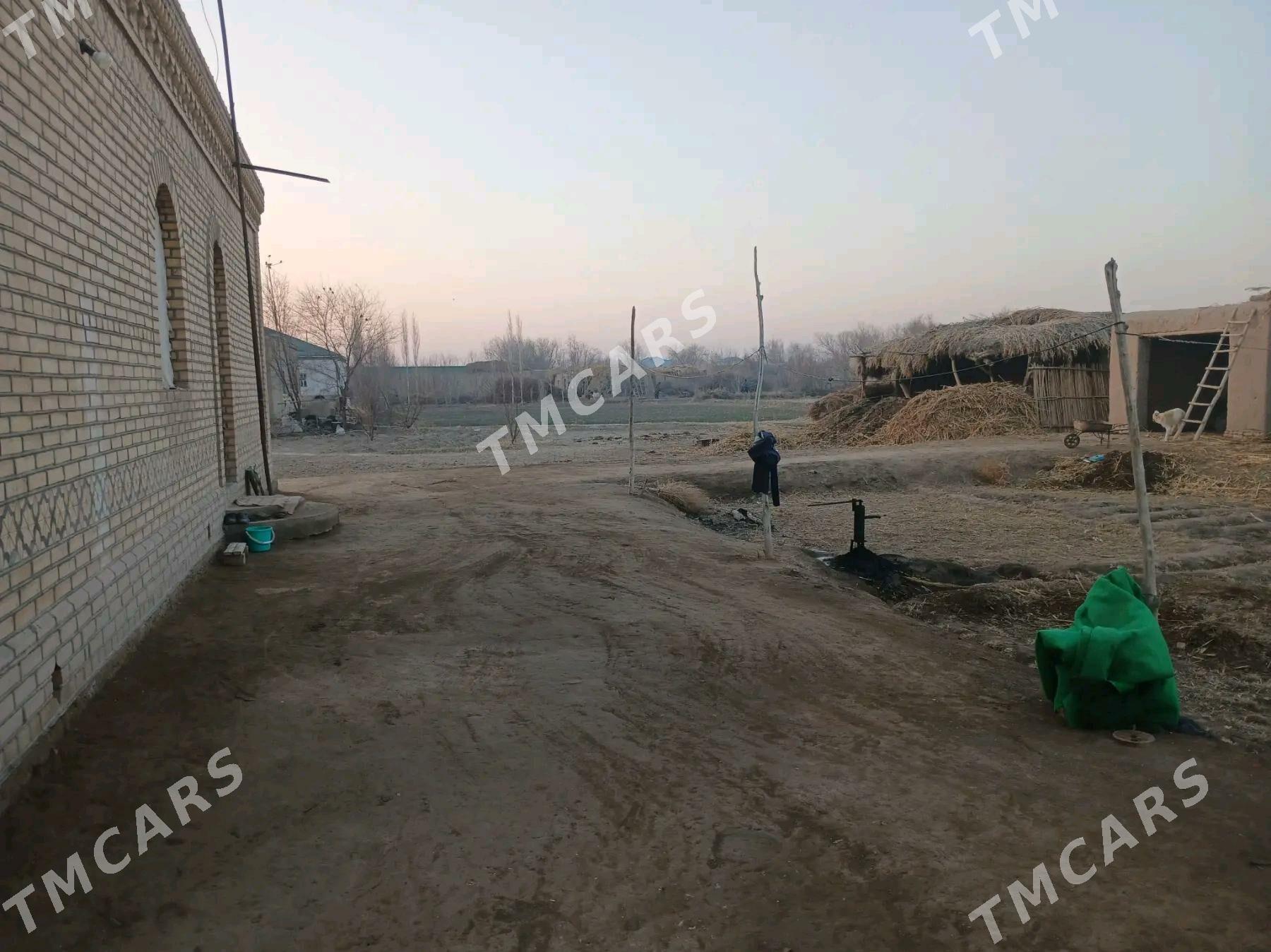 arsary 1mayAtayap obasy - Акдепе - img 3