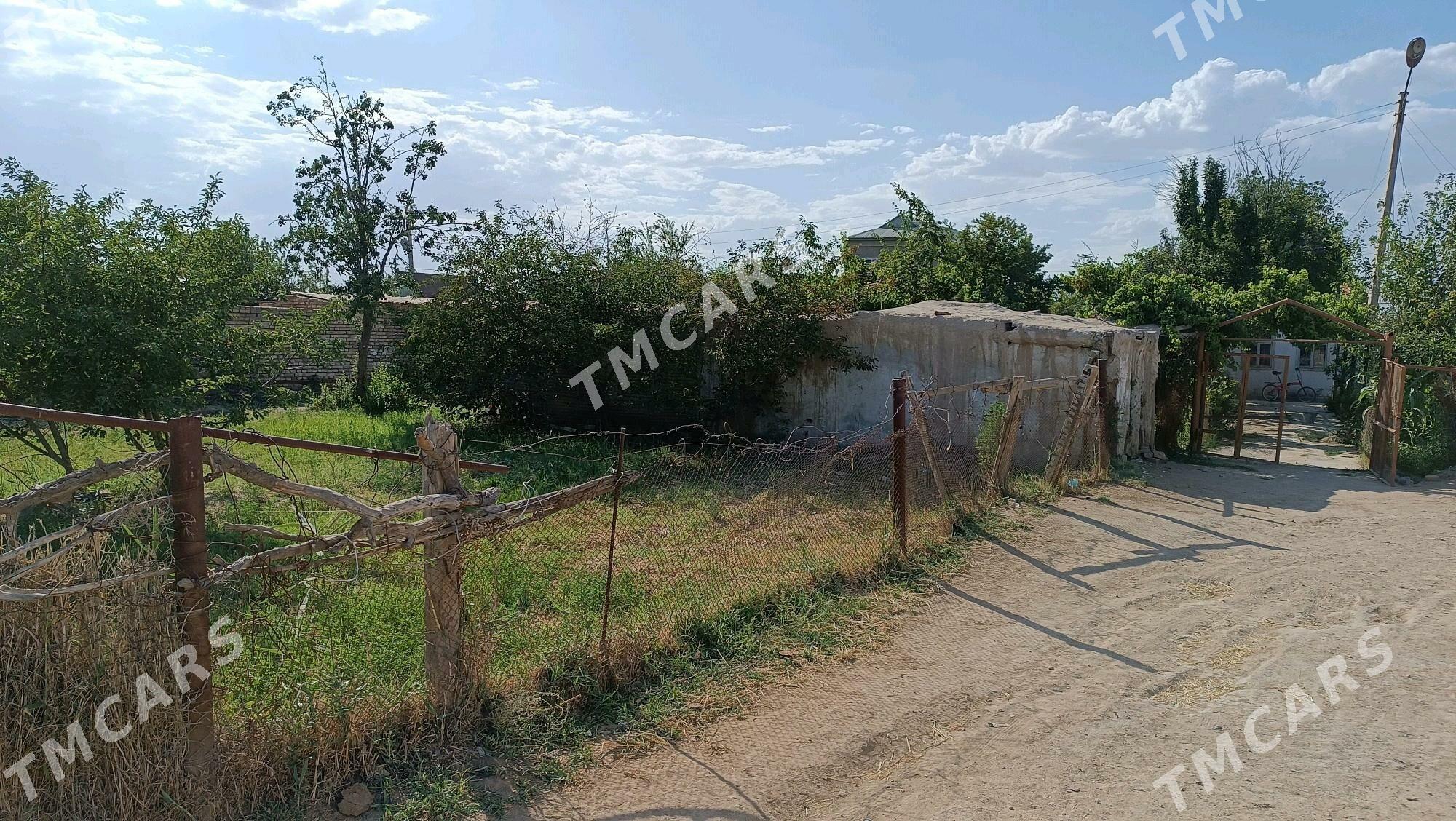 Gres daça - Мары - img 2