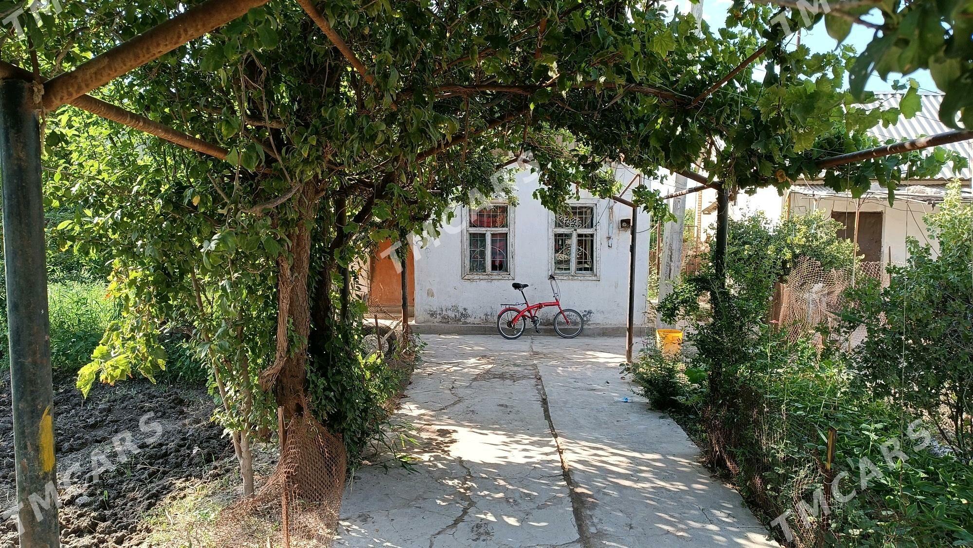 Gres daça - Мары - img 6