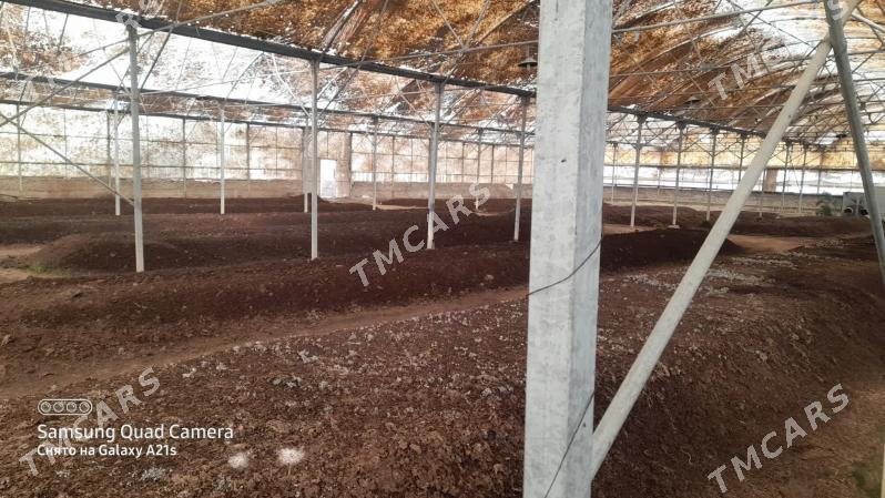 Биогумус - Sakarçäge - img 2