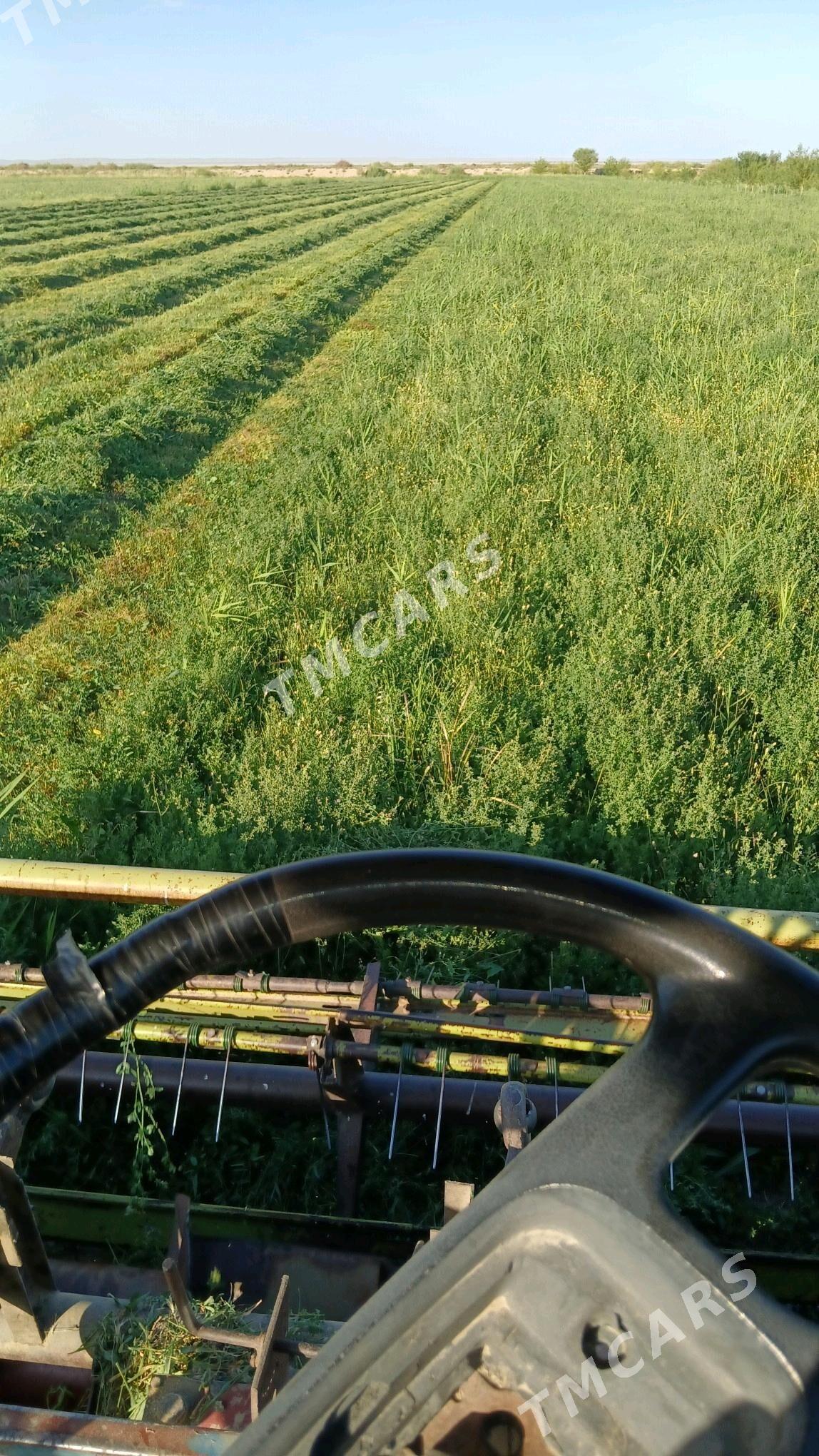 MTZ T-28 1994 - 85 000 TMT - Gyzylarbat - img 2