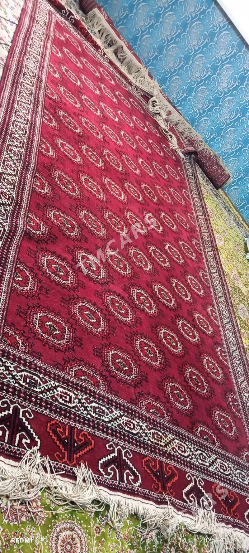 haly - Türkmenbaşy - img 3