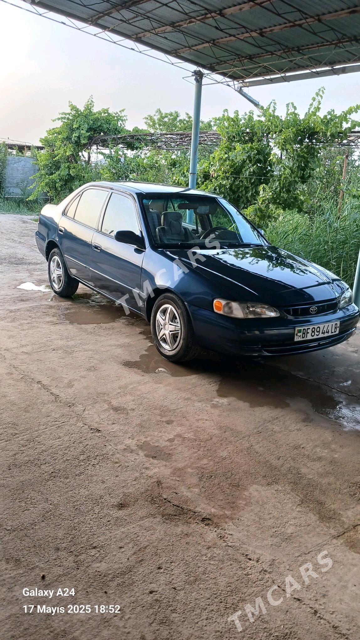 Toyota Corolla 1999 - 70 000 TMT - Köýtendag - img 6