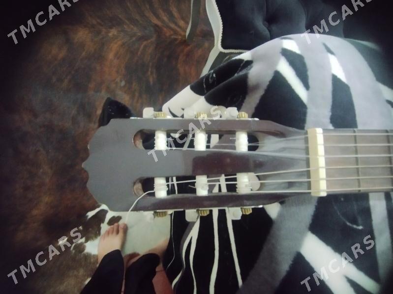 Gitara - Saýat - img 3