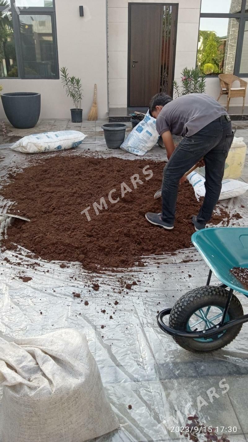 Bagban - Aşgabat - img 6