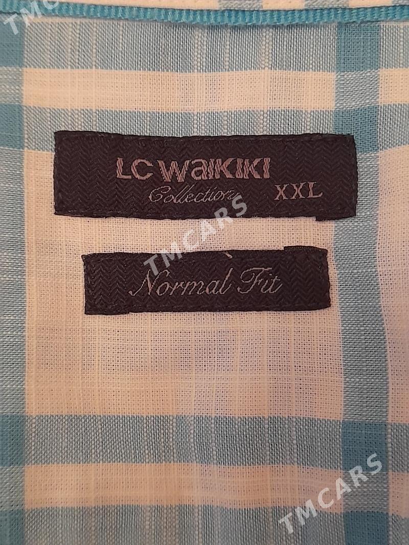 Pahta könek - Türkmenabat - img 2
